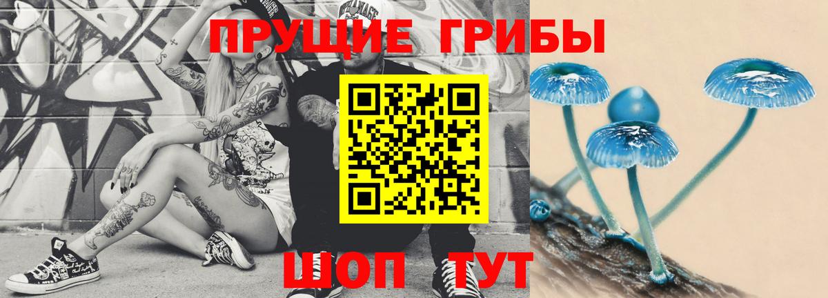 Псилоцибиновые грибы MAGIC MUSHROOMS  Вход с VPN  Краснознаменск 